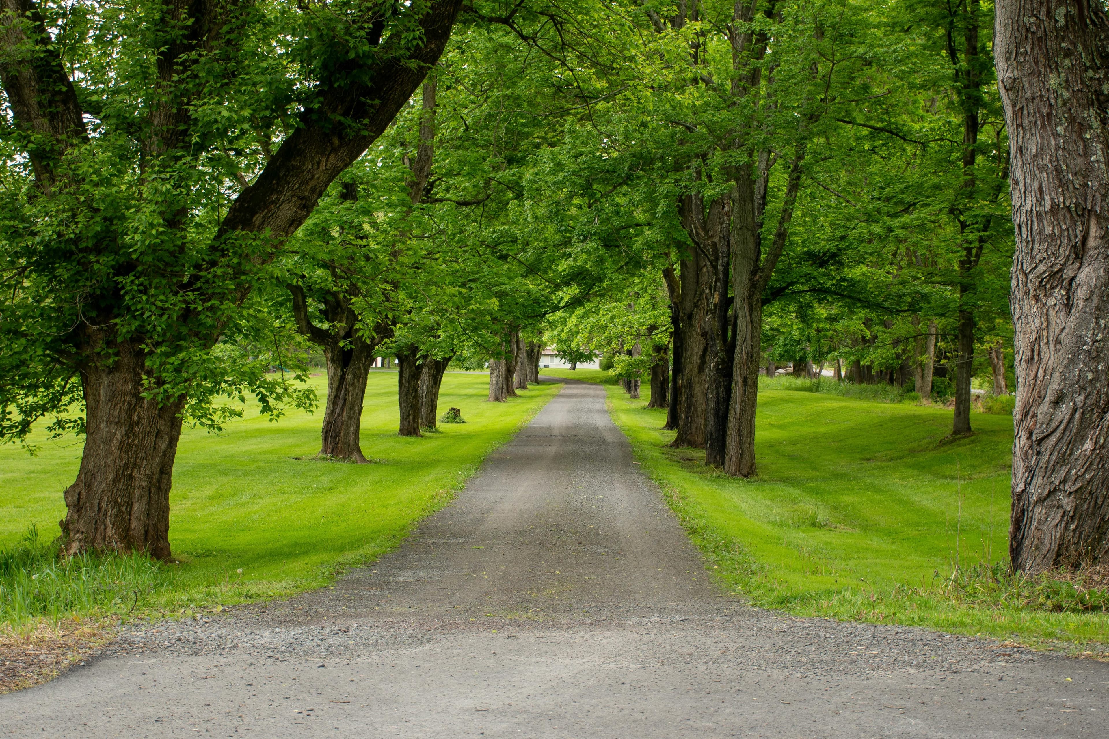 Medicare Insurance Myth-Buster: “It’s Free, Right?”